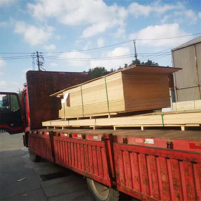 河南驻马店新蔡县至塔城货运专线，一站式物流服务助您成功